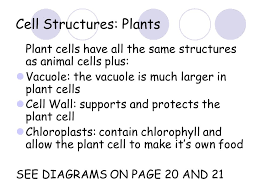 The mcqs on cell structure and function is also listed. Cells Tissues Organs And Body Systems Notes For Quiz Ppt Download