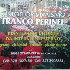 Mondo piante in vendita in giardino e fai da te: Mondo Piante Home Garden Store Terlizzi Facebook 2 369 Photos