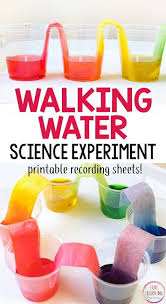 Rainbow Walking Water Science Experiment For Kids Water Science Experiments Science For Kids Fun Science