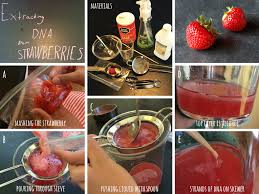 Resea the bag and gently smash for another minute (avoid making too many soap bubbles). Camp Yellow Scope Strawberry Dna