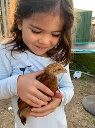 Are the babies boys or girls in the ultrasound images?