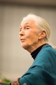 5 Agnes Irwin School Royalty-Free Images, Stock Photos & Pictures