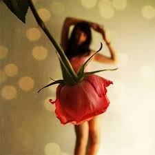 Photo Shoot Ideas For Women Rose Women Photo Shoot Ideas Forced Perspective Photography Perspective Photography Bokeh Photography