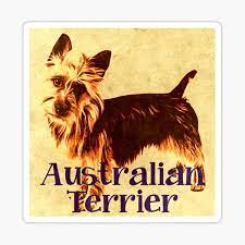Kitchen design ideas for your next project. Australian Terrier Gifts Merchandise Redbubble