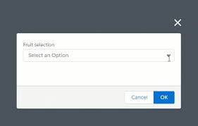 Slds Modals Combobox Loses Focus On Scroll Salesforce Forumming