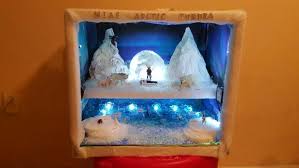 Tundra Biome In A Box Project Arctic Tundra Diorama Biomes Project Habitats Projects Penguins Project