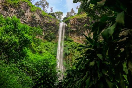 Air Terjun Coban Rondo - Wikipedia bahasa Indonesia, ensiklopedia bebas