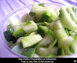 San pedro and other similar cacti that contain mescaline are completely legal for landscaping purposes. Erowid Cacti Vaults San Pedro Preparation