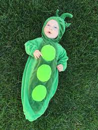 Sweet Pea In A Pod Halloween Costume
