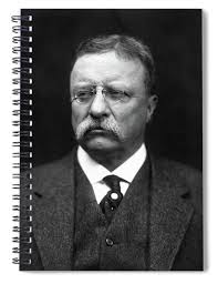 Theodore Roosevelt National Park Spiral Notebooks for Sale