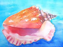 Ancient indian epics describe how each hero of mythical warfare carried a mighty white conch shell, which often bore a. Queen Conch Shell Painting By Carlin Blahnik Carlinartwatercolor