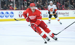 Dylan larkin and his father have donated 50,000 pair of gloves to detroit area medical centers. Nhl Detroit Red Wings Dylan Larkin Michigan Hockey Student Section