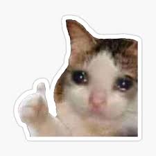 Maybe you would like to learn more about one of these? Cat Thumbs Up Stickers Redbubble