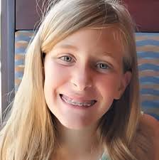 Corgis destroying stuffed toys and their owners' experiences