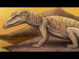 Image result for Proterosuchus