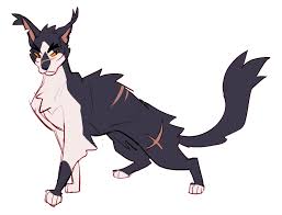 Fridaystar May I Offer You A Tuxedo Cat Breezepelt In This Trying Time Actually Hm Nice That S