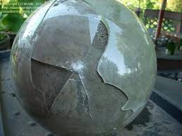 We did not find results for: Easy To Make Concrete Bowls And Planters 11 Steps With Pictures Instructables