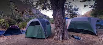 The sycamore canyon campground is located within a beautiful canyon and is just a short walk across the pch to the beach parking lot. Sycamore Canyon Campground 2 Photos Malibu Ca Roverpass