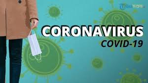 Apa saja penyakit pada lansia yang sering terjadi? Update Virus Corona Buat Lansia Orang Dengan Penyakit Kronis Dan Orangtua Jangan Bercium Pipi Tribun Pontianak