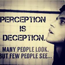 Perception Is Deception Mrrobot Elliiotalderson Ramimalek Skewedperception Instagram Mr Robot Mr Robot Quotes Robots Quote