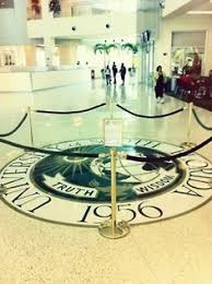 If you are in between 2 sizes always go on the larger, chances are your favourite tee has shrunk a little since you got it. 25 Usf Bulls Ideas Usf Bulls Usf University Of South Florida