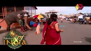 Television Serial Actress: Mallu Tv Anchor Lakshmi Nair Big Ass and Boobs  Show in Saree - Sa