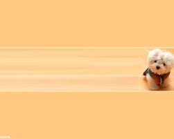 The puppy slides down from the mountain on its four paws. Free Puppy Powerpoint Templates