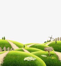 أخضر مرج الحديقة الخلفية Green Lawn Green Grass