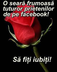 Urări deosebite pentru cea mai bună prietenă. Mesaje De Prietenie Si Respect Adevarat Home Facebook
