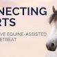 CONNECTING HEARTS: A Restorative Equine-Assisted event image