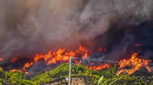 You can upgrade to the latest version of adobe reader from www.adobe.com. Incendies En Grece Les Feux Qui Flambaient Depuis Le 29 Juillet Enfin Maitrises Lci