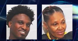 Mother and son arrested: Drugs, firearms, cash seized