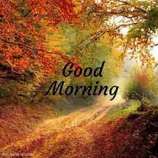 150 Fresh Beautiful Good Morning Images With Nature Good Morning Nature Good Morning Nature Images Good Morning Images