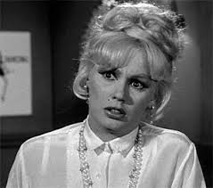 Television's New Frontier: The 1960s: The Real McCoys (1962)