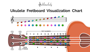 Notes Of Music Staff And Ukulele Fretboard In 2019 Piano