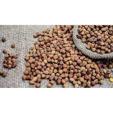Kacang kuda merupakan sejenis kacang yang mempunyai benih dikotiledon. Black Chickpeas Kacang Kuda Hitam 1kg Shopee Malaysia
