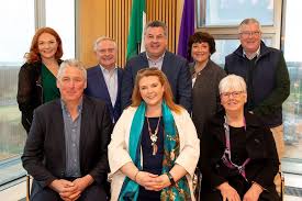 Labour and Sinn Féin councillors co-opted in Wexford as new TDs replaced