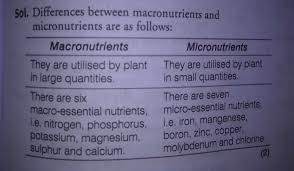 Regarding micronutrients, as we have already seen, we need them in small quantities but they are not less important, within this group are. A Distinguish Between Macronutrients And Micronutrients On The Basis Of I Their Functions Ii Brainly In