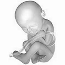 Jul 14, 2021 · how many weeks, months and trimesters in a pregnancy? You Are 38 Weeks And 5 Days Pregnant Familyeducation