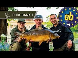 Check the top 1000 youtubers list via noxinfluencer.com. 25 Best Carp Fishing Youtube Channels You Can T Live Without Improved Carp Angling