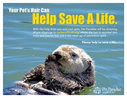 Free gift with $199 order. Mcmaster Hair For Oil Spills Posts Facebook
