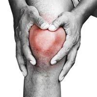 Le genou est une articulation importante et régulièrement sollicitée. Genou Anatomie Maladies Soins Conseils