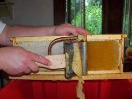 Pin On Small Farm Bees And Honey