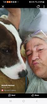 CHANNEL 5 RATCHET NEWS ™