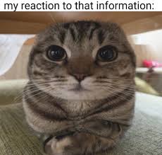 images?q=tbn:ANd9GcSsIkhc6hG7Sx00JZNoA2gAOM9VgNcjXPfHLw&s