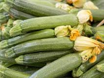 Bildergebnis für was ist der unterschied zwischen zucchini und zucchini