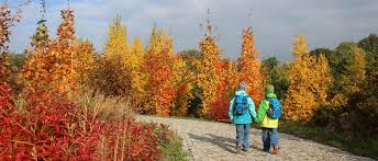 Forstbotanischer Garten Tharandt Forstbotanischer Garten Tharandt Sachsisches Landesarboretum