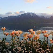 Where I Want To Be Right Now Landscape Photography Nature Photography Beautiful Nature