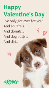 Expatica is the international community's online home away from home. Dog Valentine S Day Captions Novocom Top