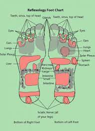 Download Foot Reflexology Chart 09 Reflexology Foot Chart Foot Reflexology Reflexology Chart